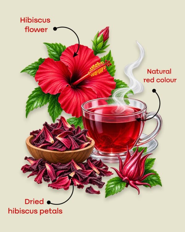 Hibiscus flowers, dried hibiscus and a cup of ruby red hibiscus tea