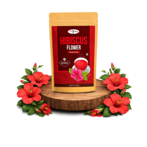 hibiscus flower copy
