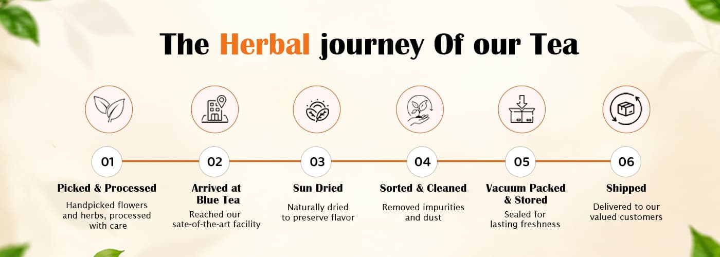 The journey of Kadambari tea from picking and drying to packing and shipping